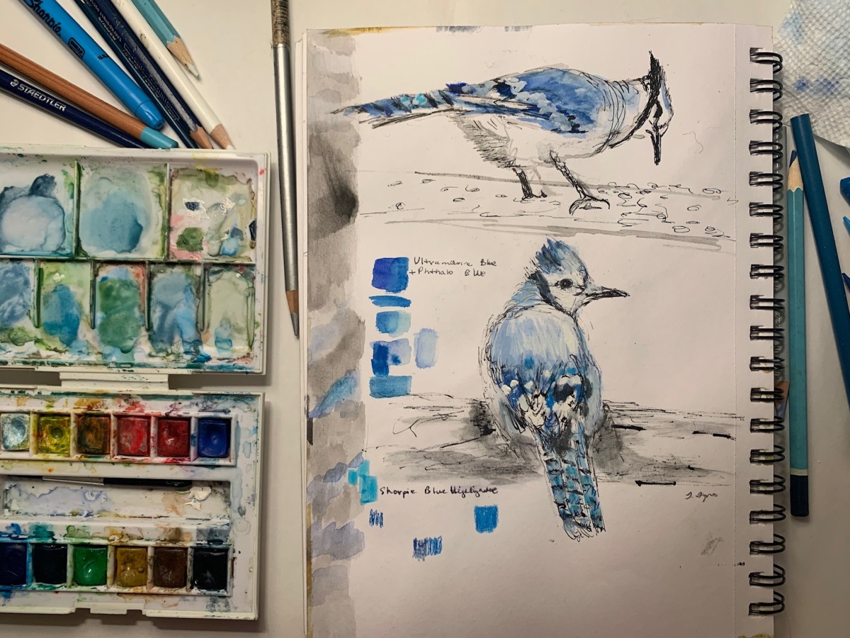 The Blues of Blue Jays